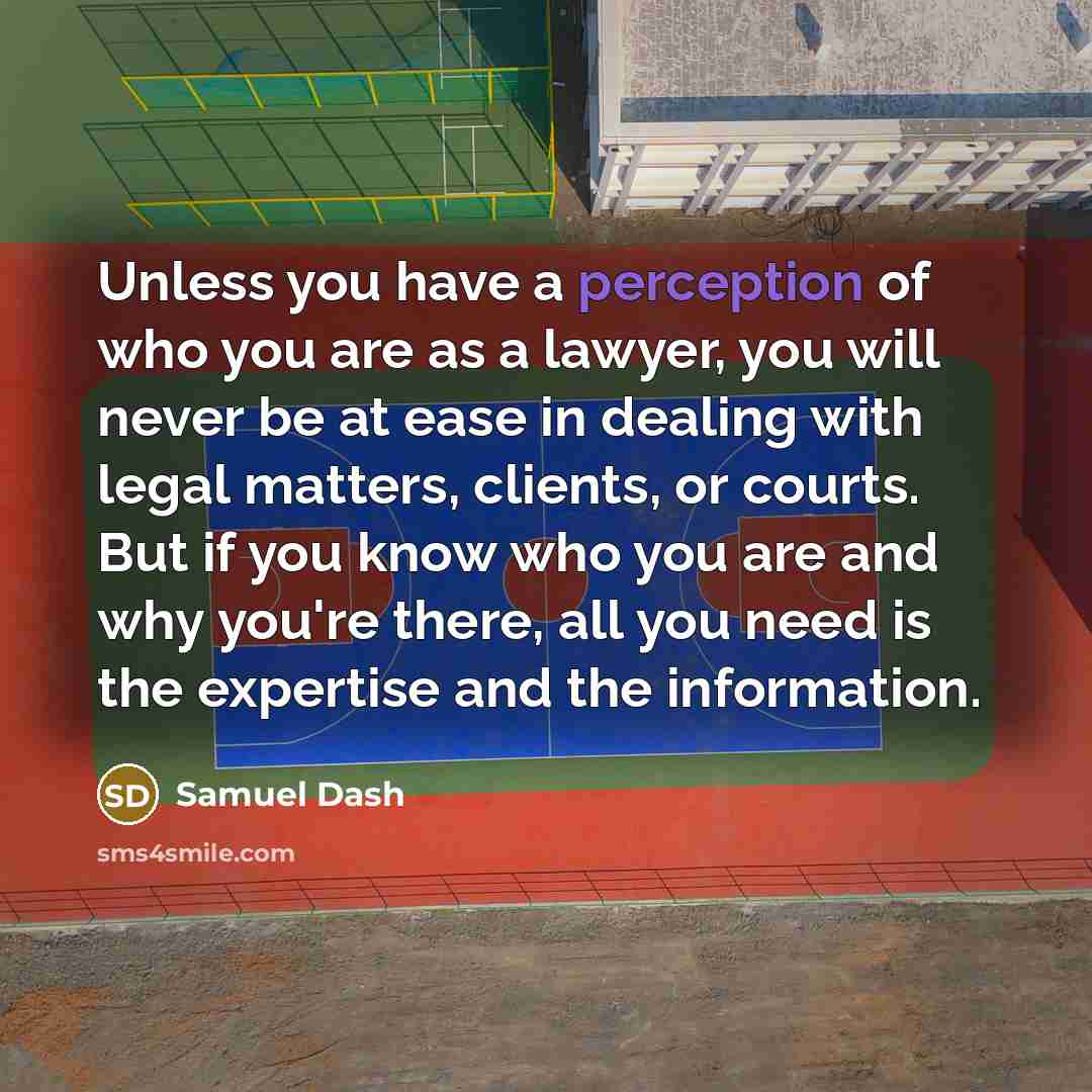 “Unless you have a perception of who you are as…” quote by Samuel Dash