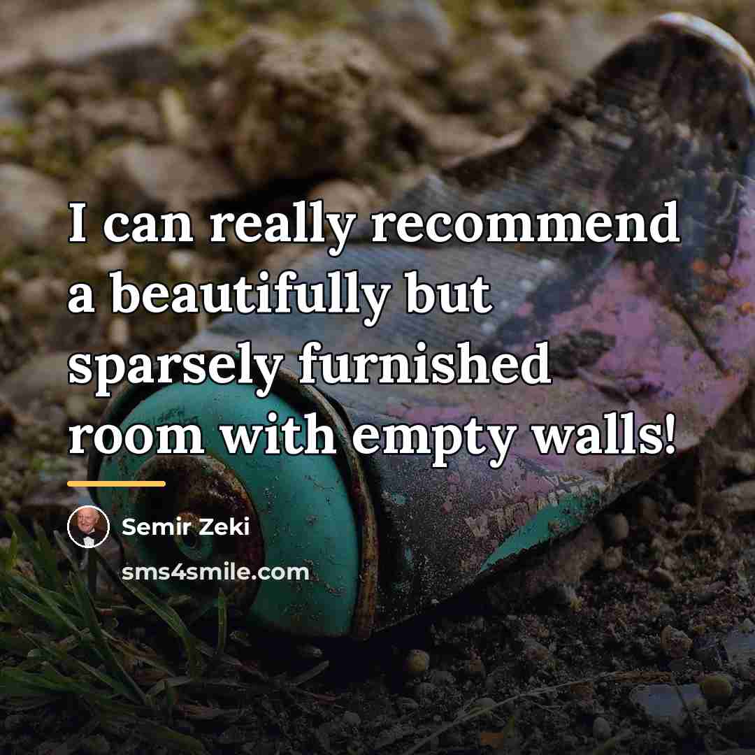 “I can really recommend a beautifully but sparsely furnished room…” quote by Semir Zeki