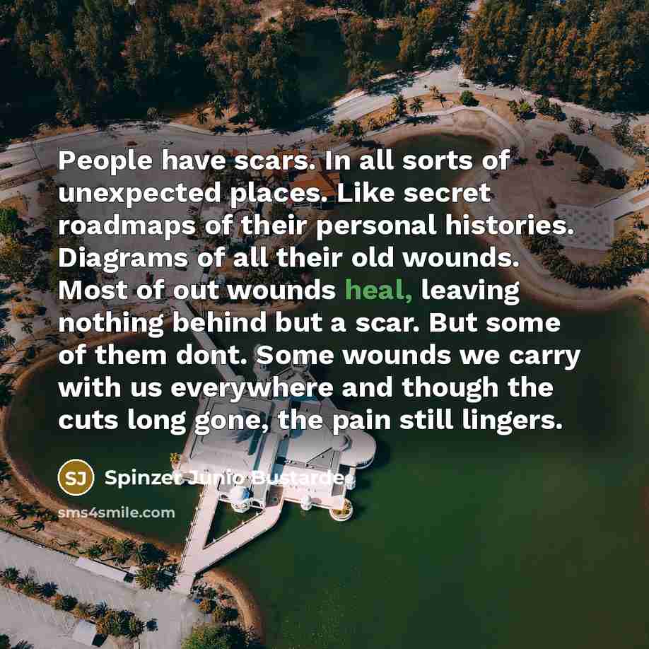 “People have scars. In all sorts of unexpected places. Like…” quote by Spinzer Junio Bustarde