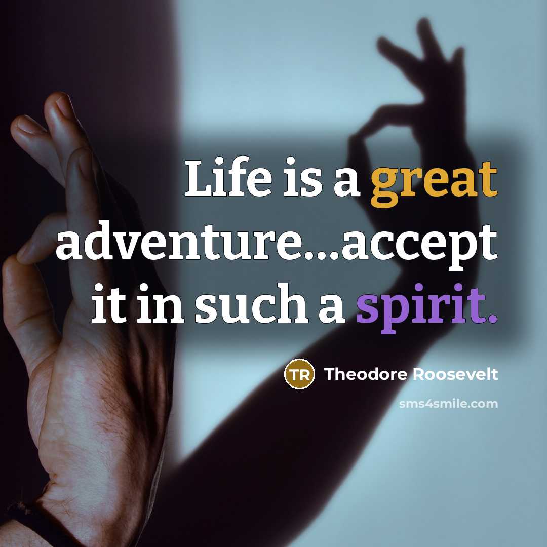 “Life is a great adventure…accept it in such a spirit.…” quote by Theodore Roosevelt
