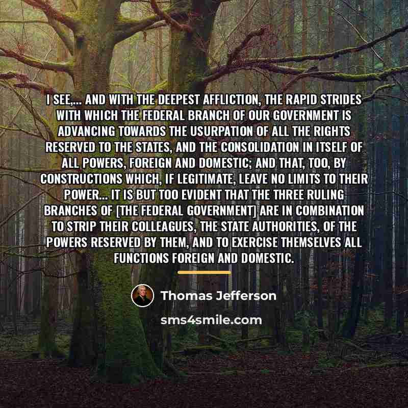 “I see,... and with the deepest affliction, the rapid strides…” quote by Thomas Jefferson