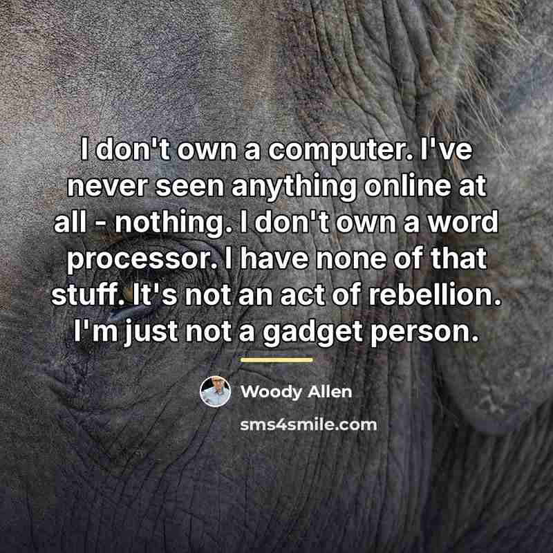 “I don't own a computer. I've never seen anything online…” quote by Woody Allen