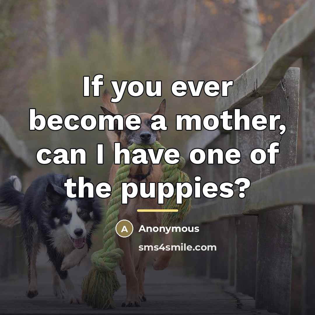 “If you ever become a mother, can I have one…” quote by Anonymous