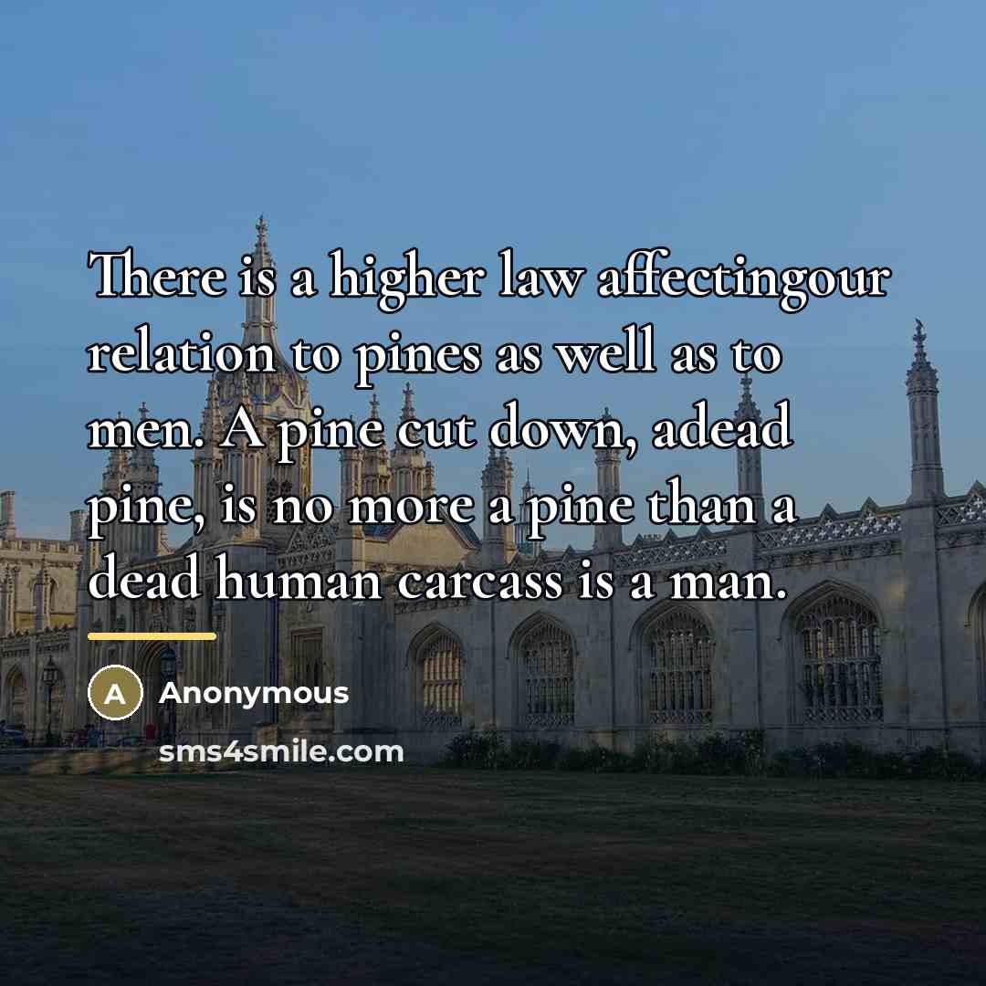 “There is a higher law affectingour relation to pines as…” quote by Anonymous