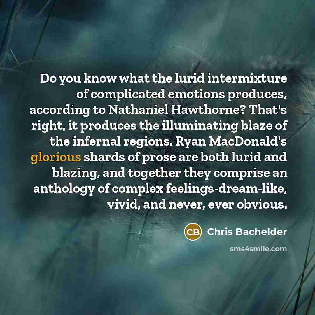 “Do you know what the lurid intermixture of complicated emotions…” quote by Chris Bachelder