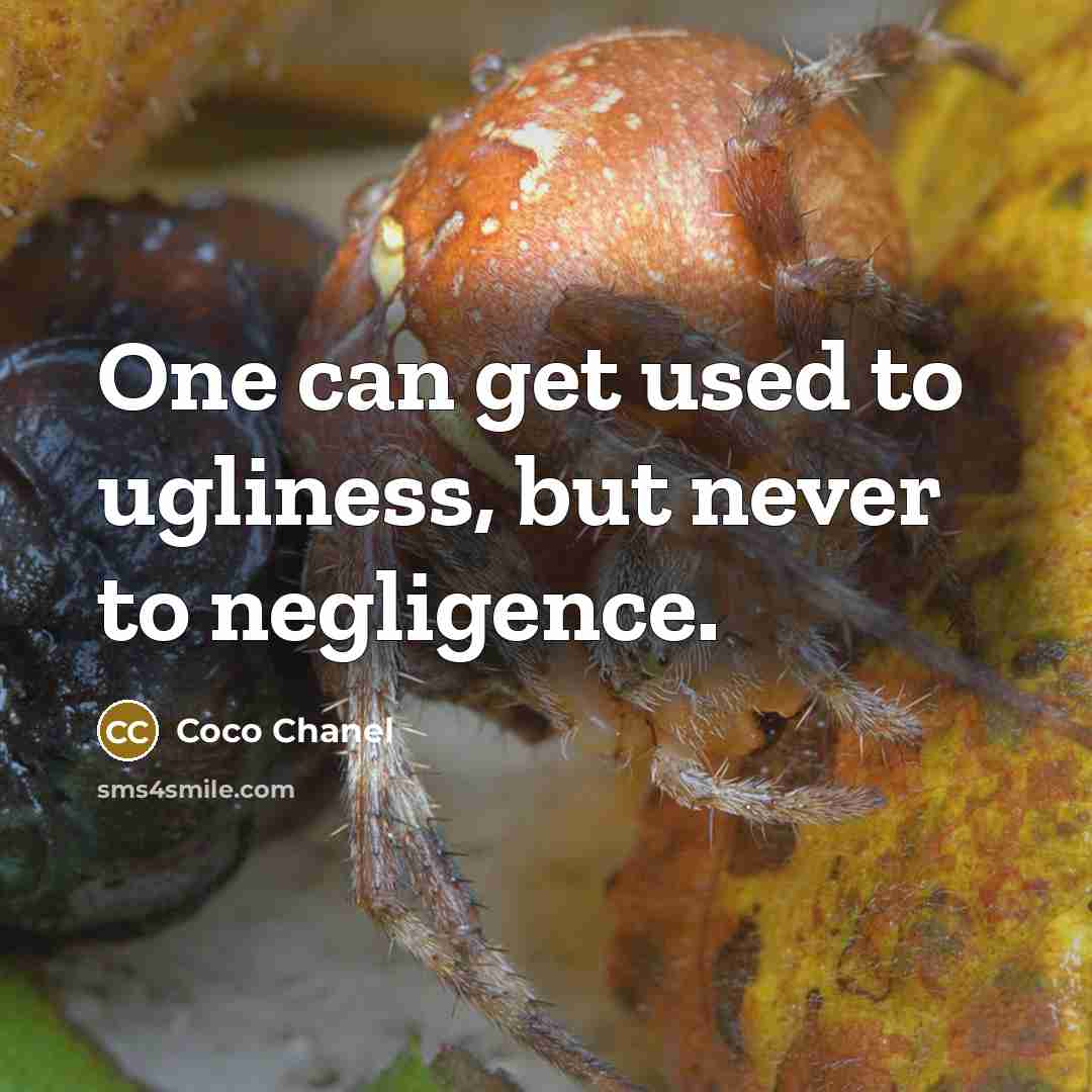 “One can get used to ugliness, but never to negligence.…” quote by Coco Chanel