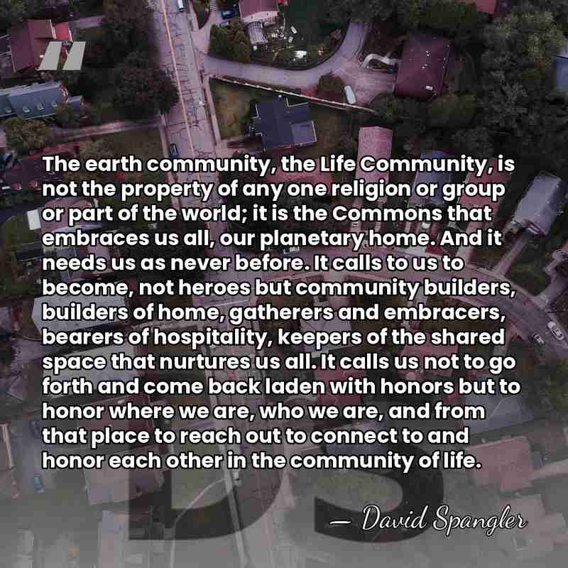 The earth community, the Life Community, is not the property of any&hellip; - David Spangler
