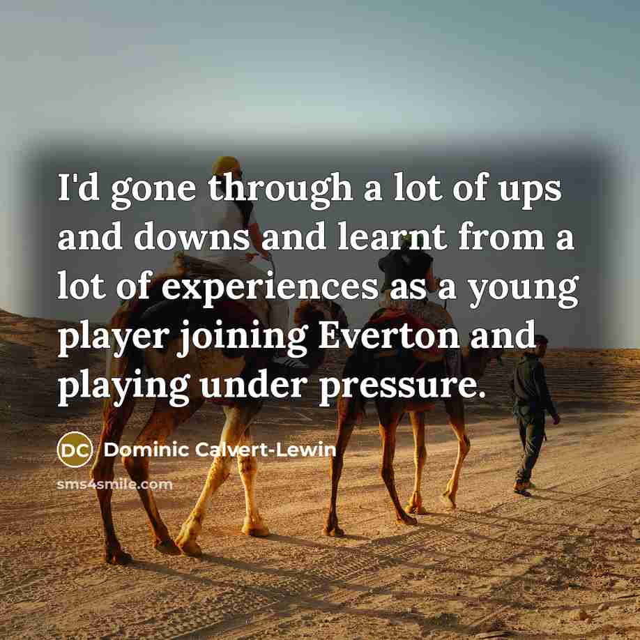 “I'd gone through a lot of ups and downs and…” quote by Dominic Calvert-Lewin