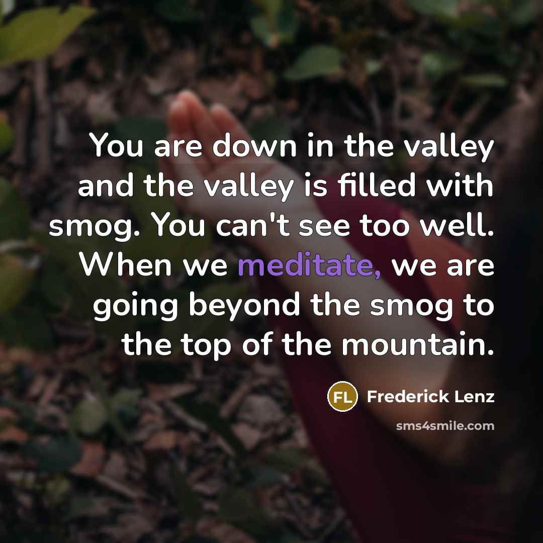 “You are down in the valley and the valley is…” quote by Frederick Lenz