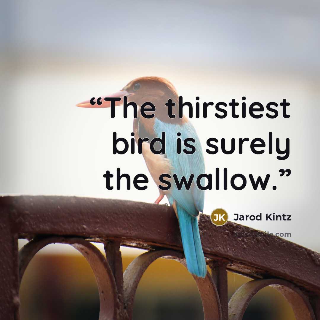 “The thirstiest bird is surely the swallow.” quote by Jarod Kintz