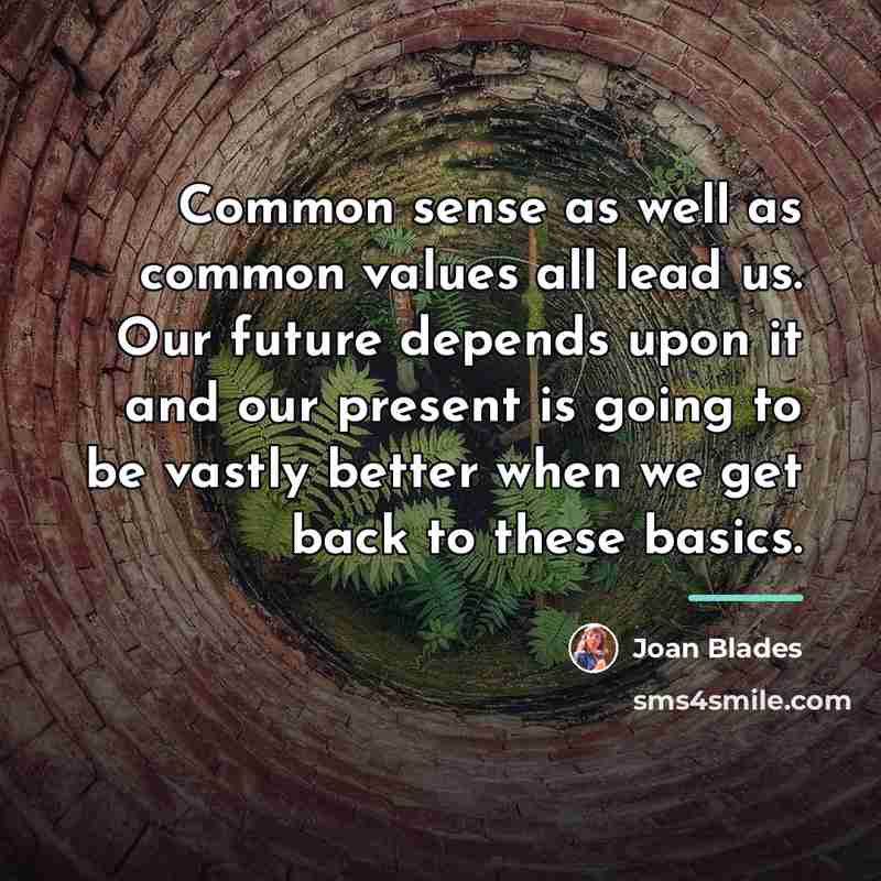 “Common sense as well as common values all lead us.…” quote by Joan Blades