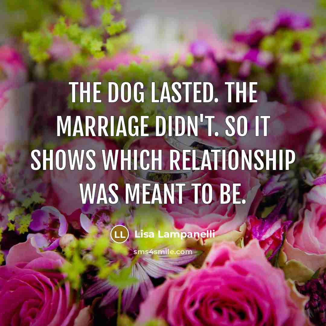 “The dog lasted. The marriage didn't. So it shows which…” quote by Lisa Lampanelli