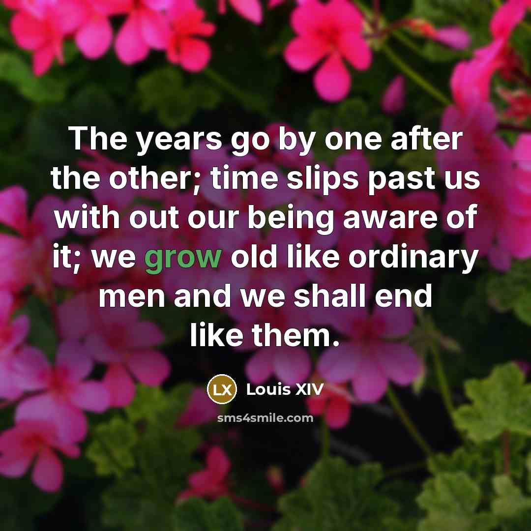 “The years go by one after the other; time slips…” quote by Louis XIV