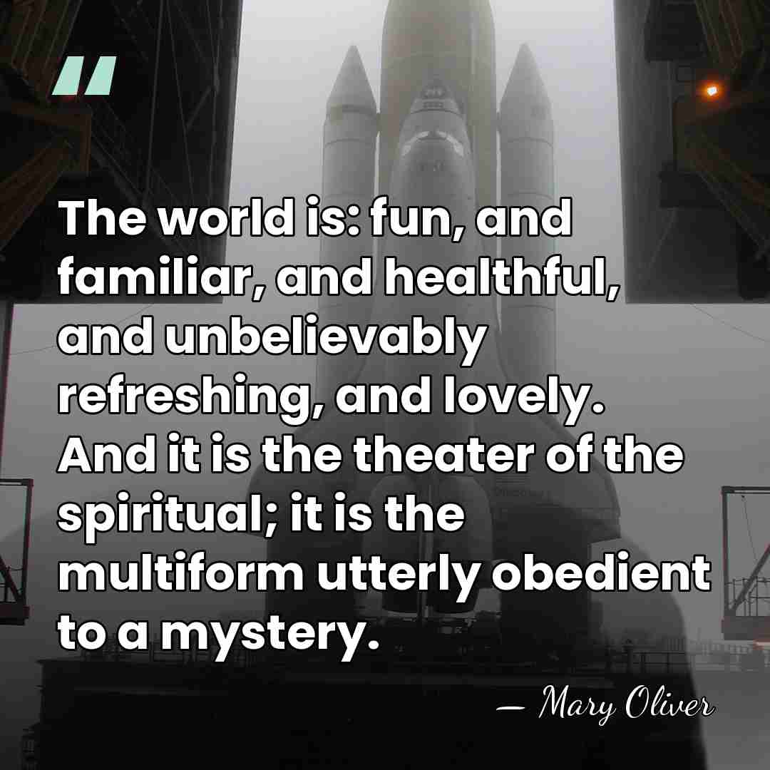 The world is: fun, and familiar, and healthful, and unbelievably refreshing, and&hellip; - Mary Oliver