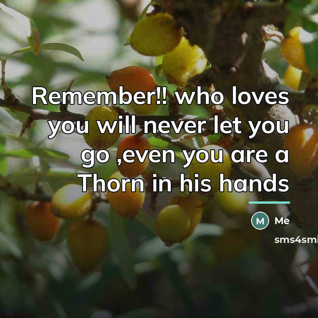 “Remember!! who loves you will never let you go ,even…” quote by Me