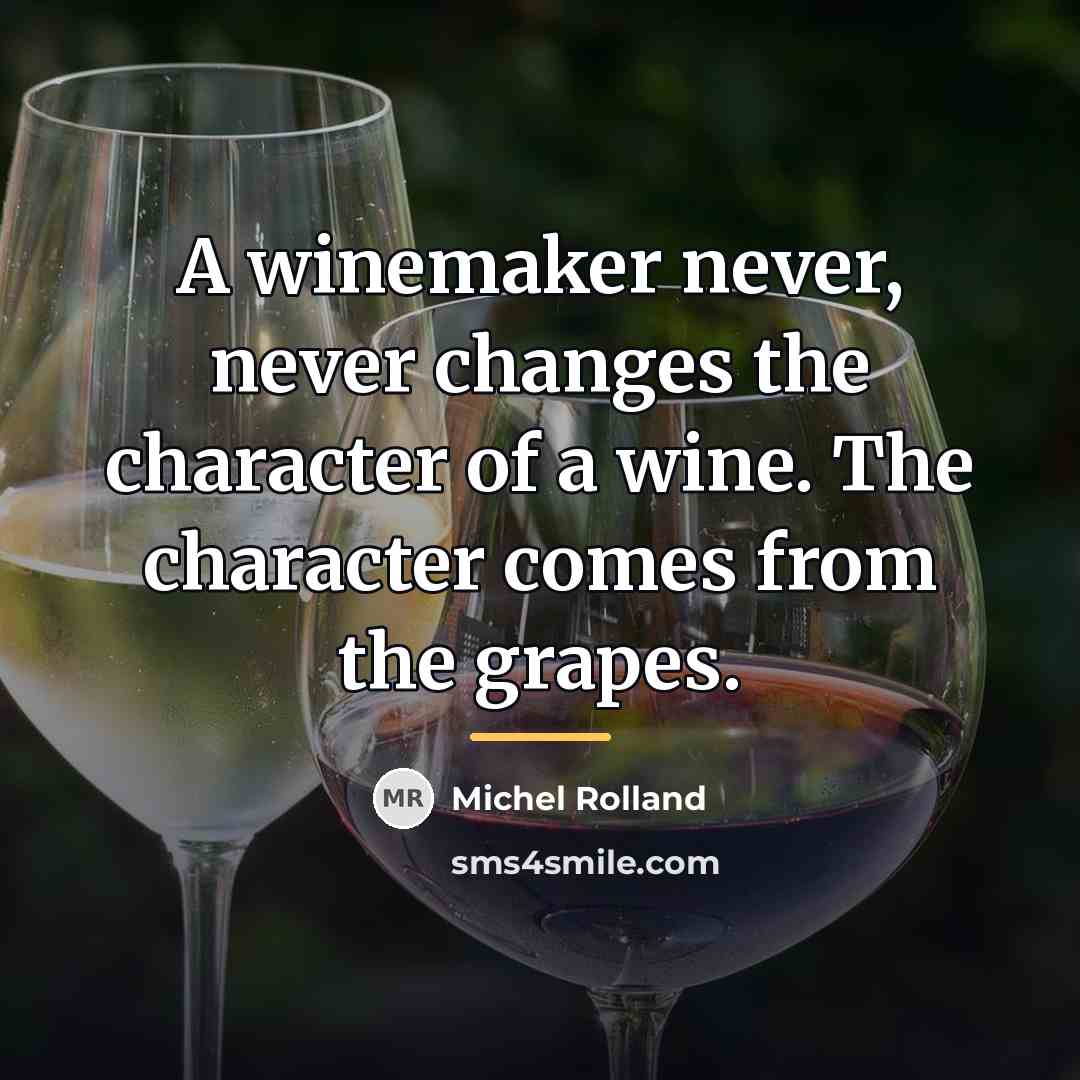 “A winemaker never, never changes the character of a wine.…” quote by Michel Rolland