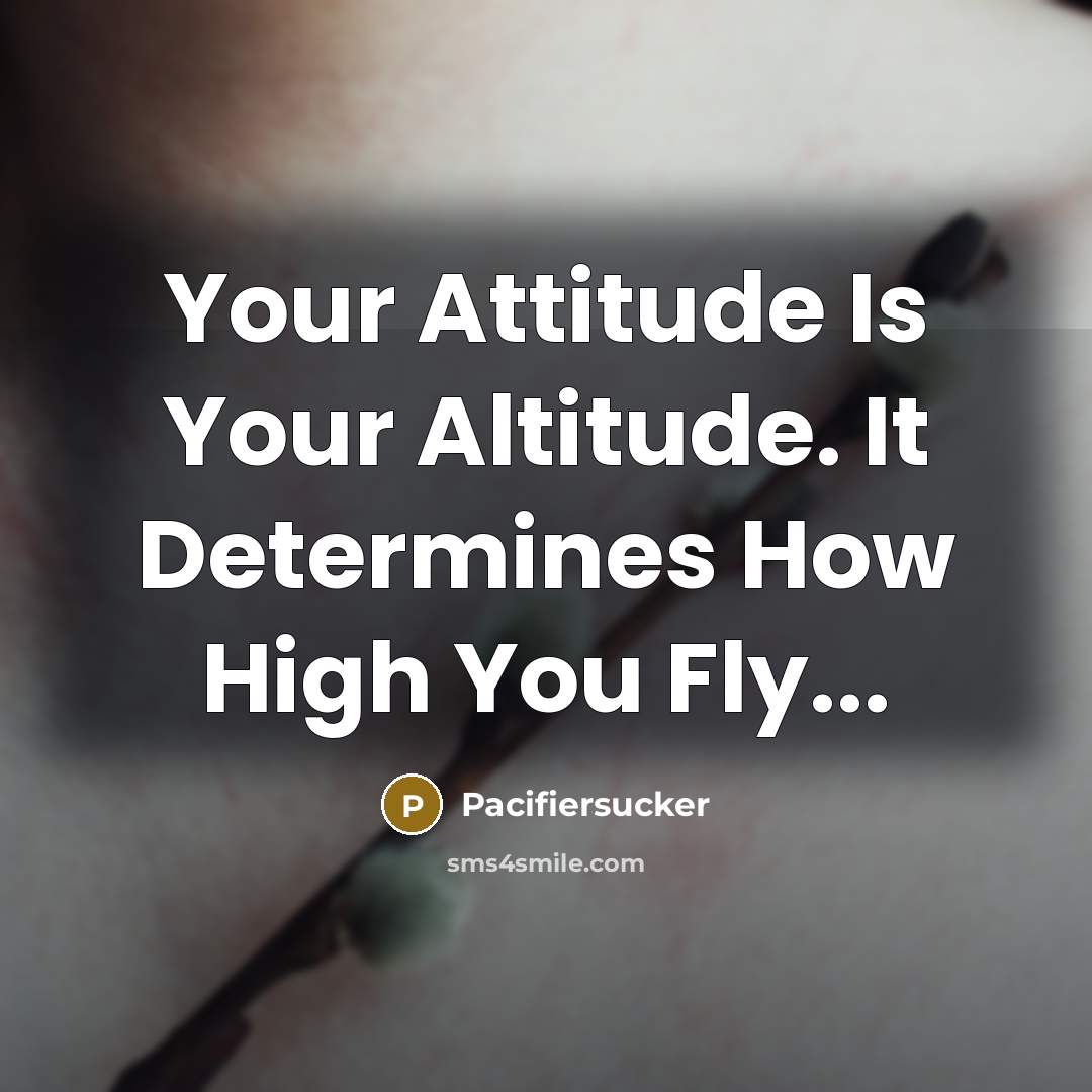 “Your Attitude Is Your Altitude. It Determines How High You Fly...” quote by Pacifiersucker