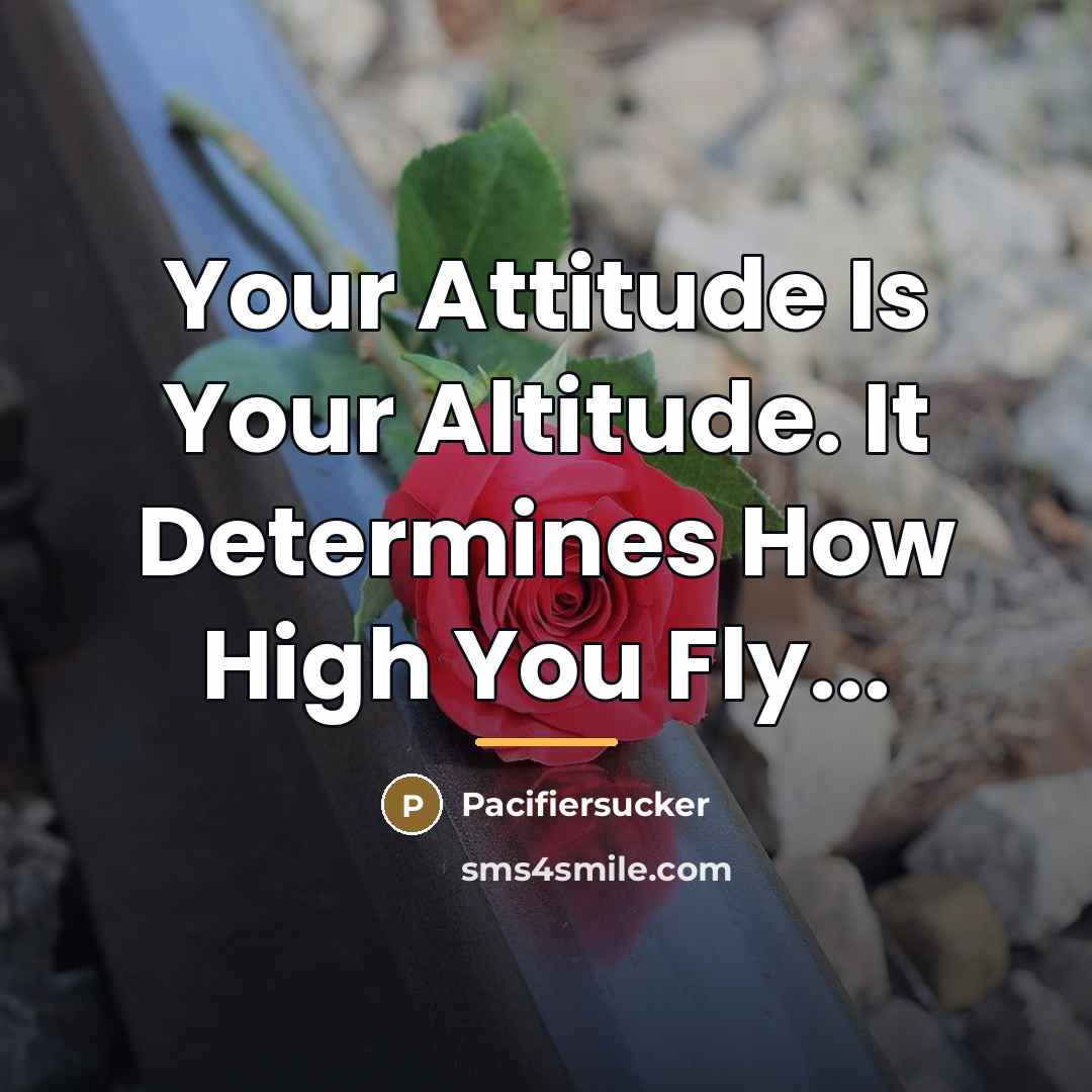 “Your Attitude Is Your Altitude. It Determines How High You…” quote by Pacifiersucker