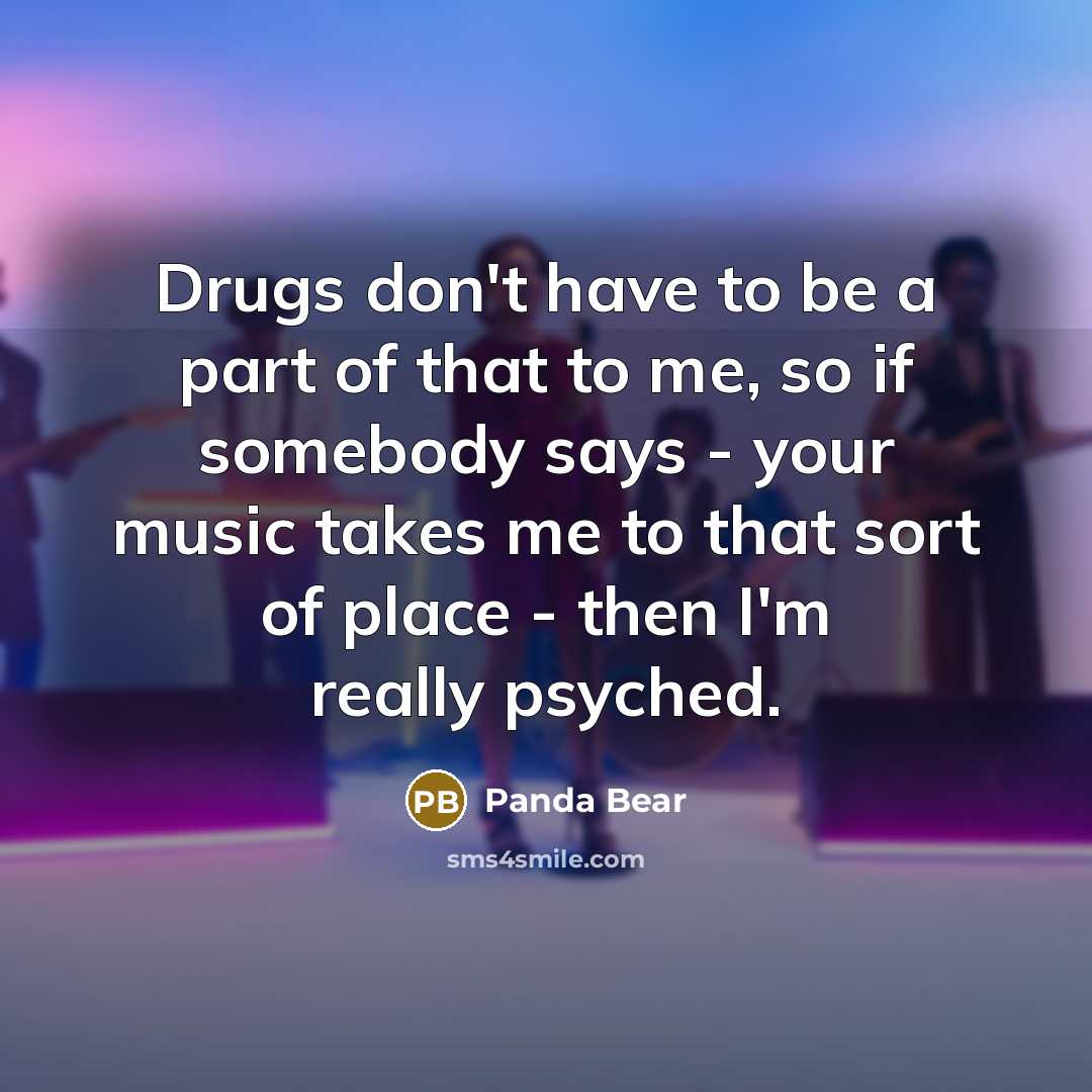 “Drugs don't have to be a part of that to…” quote by Panda Bear