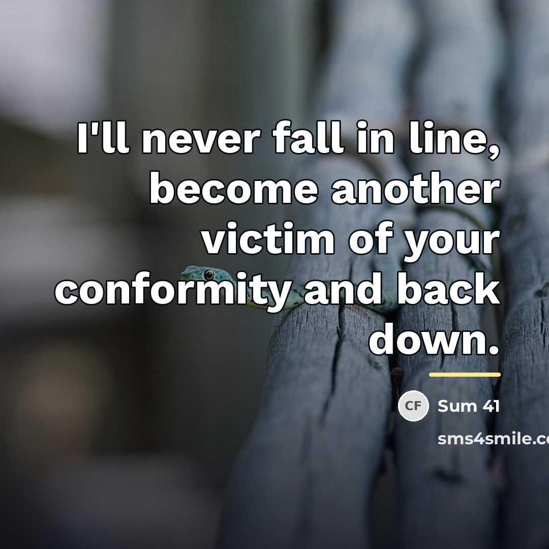 “I'll never fall in line, become another victim of your…” quote by Sum 41