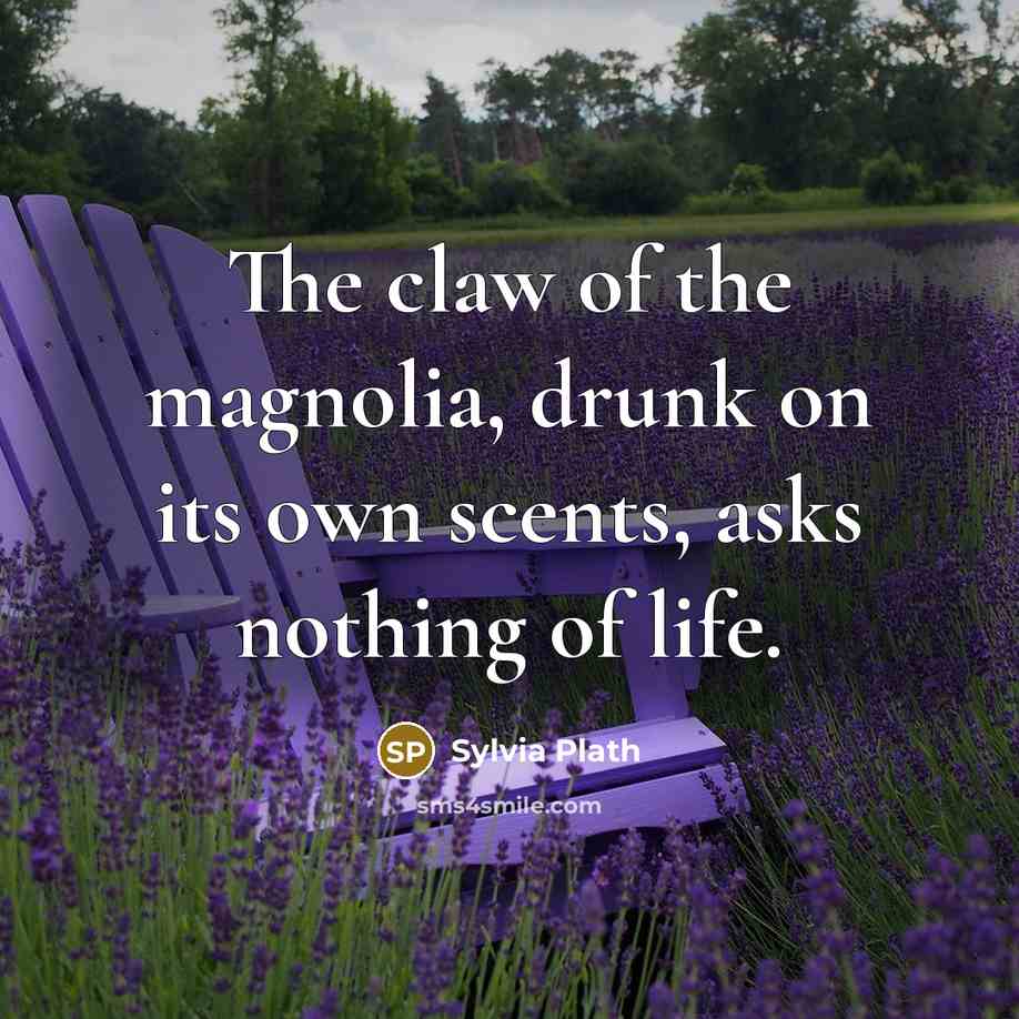 “The claw of the magnolia, drunk on its own scents,…” quote by Sylvia Plath