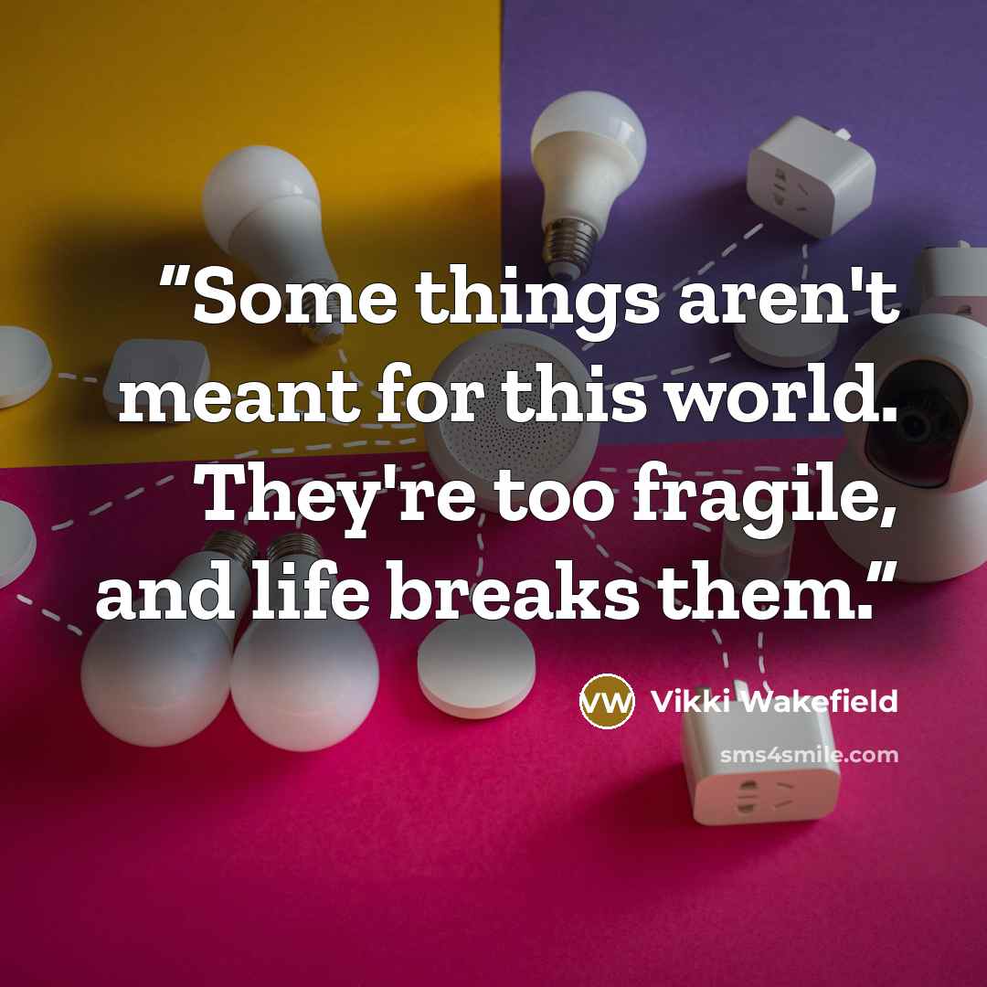 “Some things aren't meant for this world. They're too fragile, and life breaks them.” quote by Vikki Wakefield