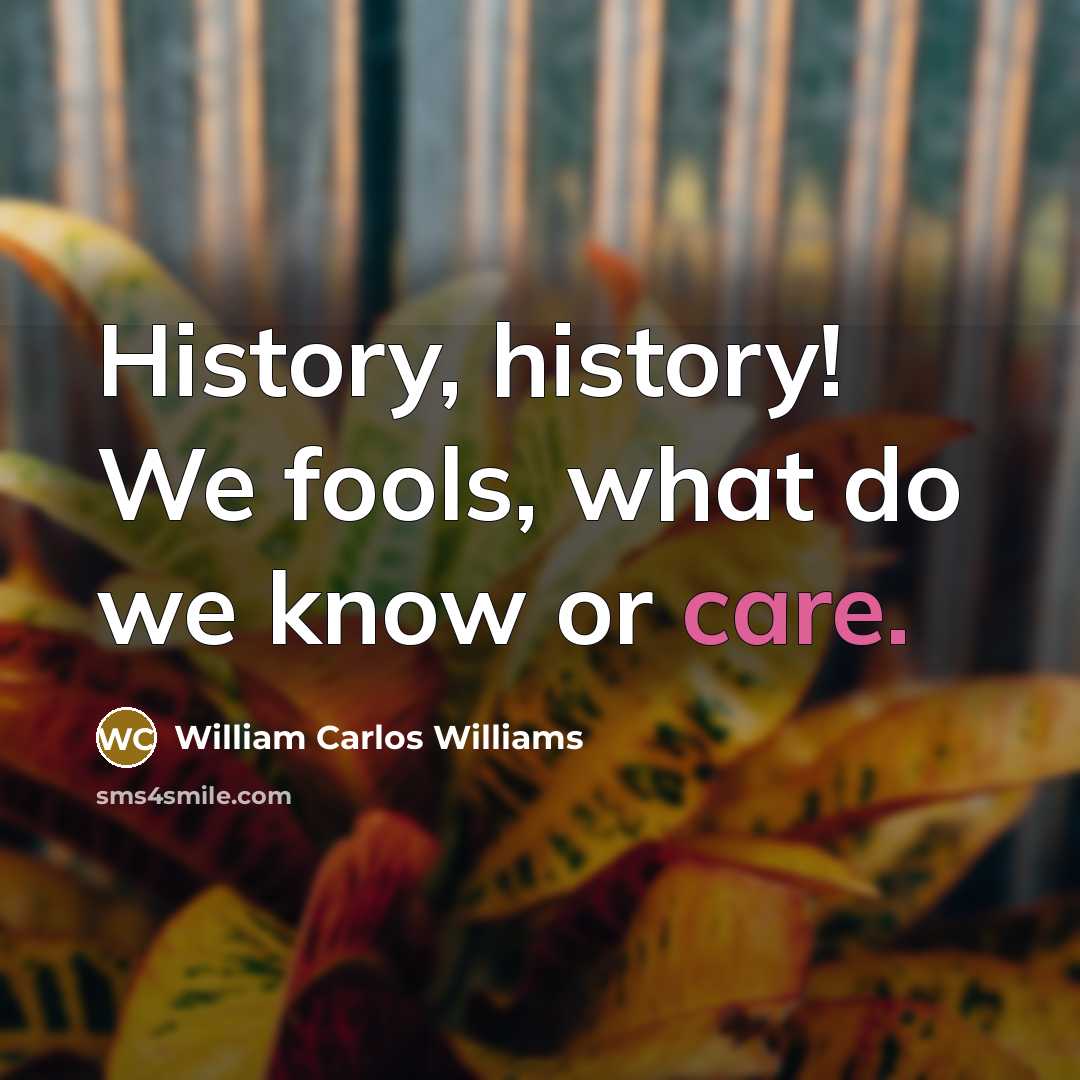 “History, history! We fools, what do we know or care.…” quote by William Carlos Williams