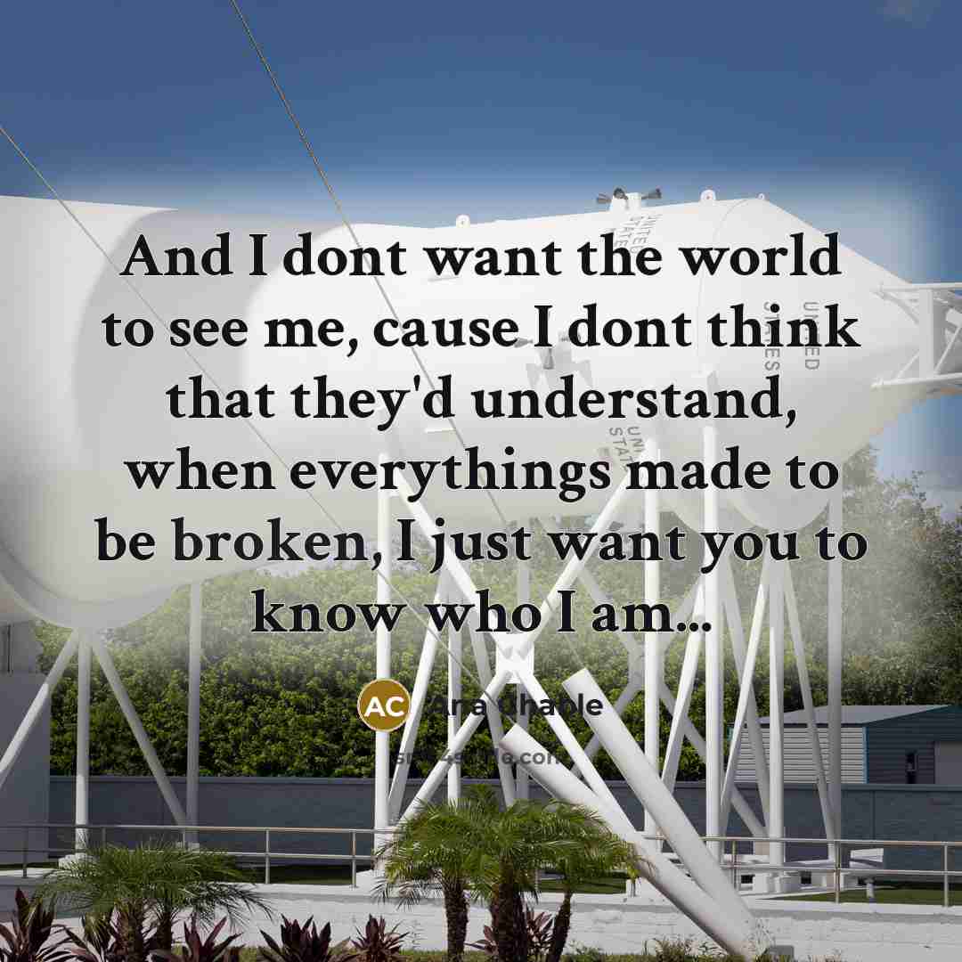 “And I dont want the world to see me, cause…” quote by Ana Chable