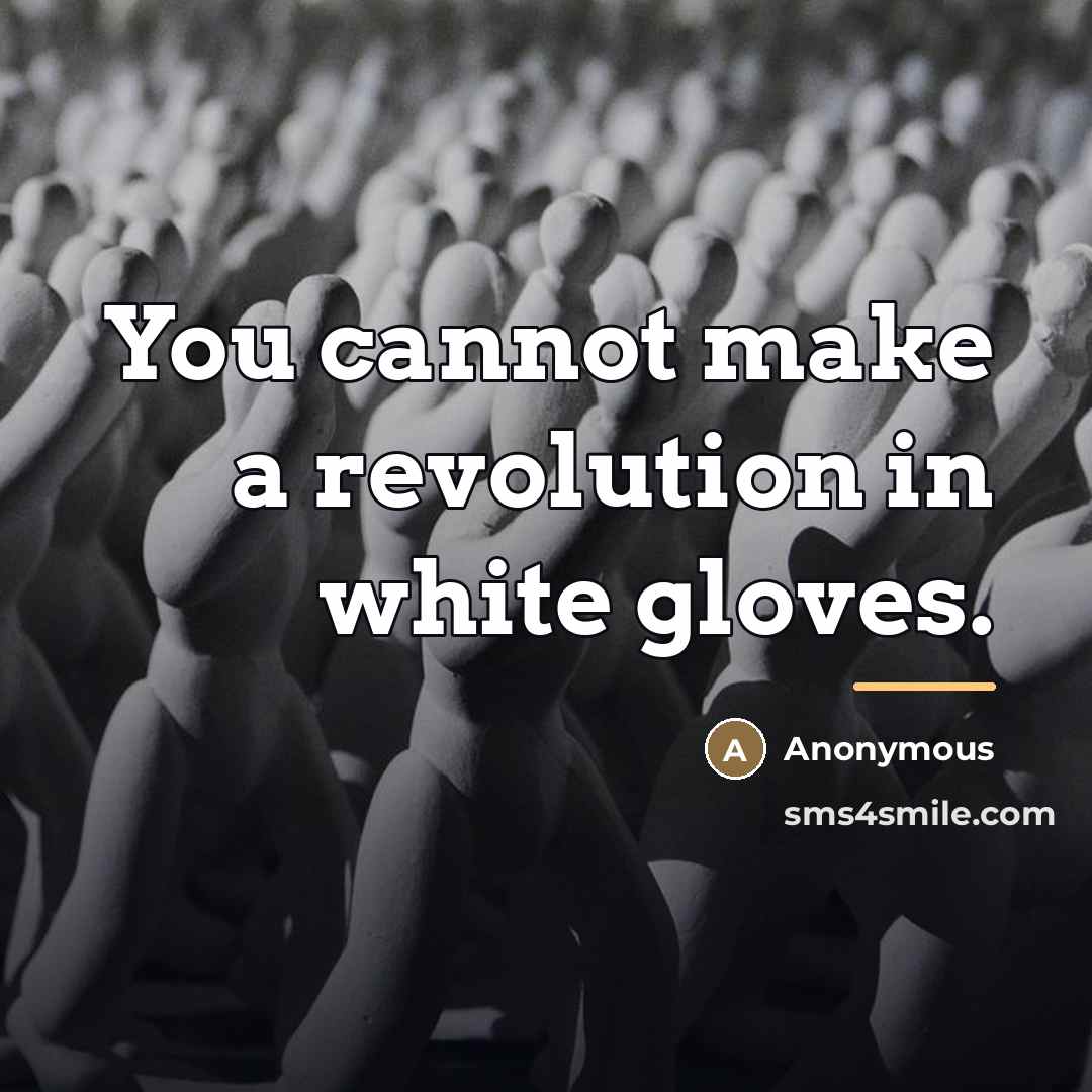 “You cannot make a revolution in white gloves.…” quote by Anonymous