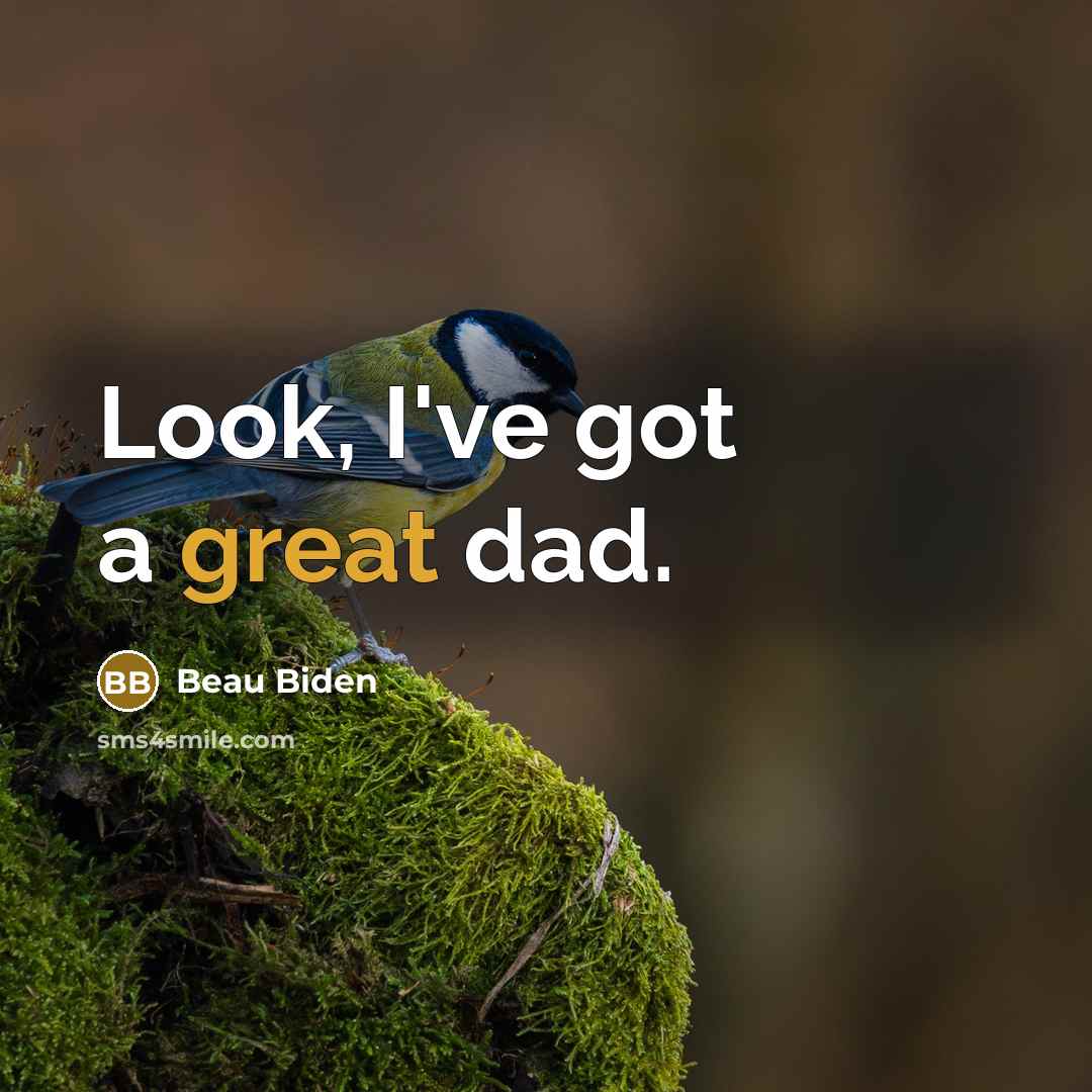 “Look, I've got a great dad.…” quote by Beau Biden