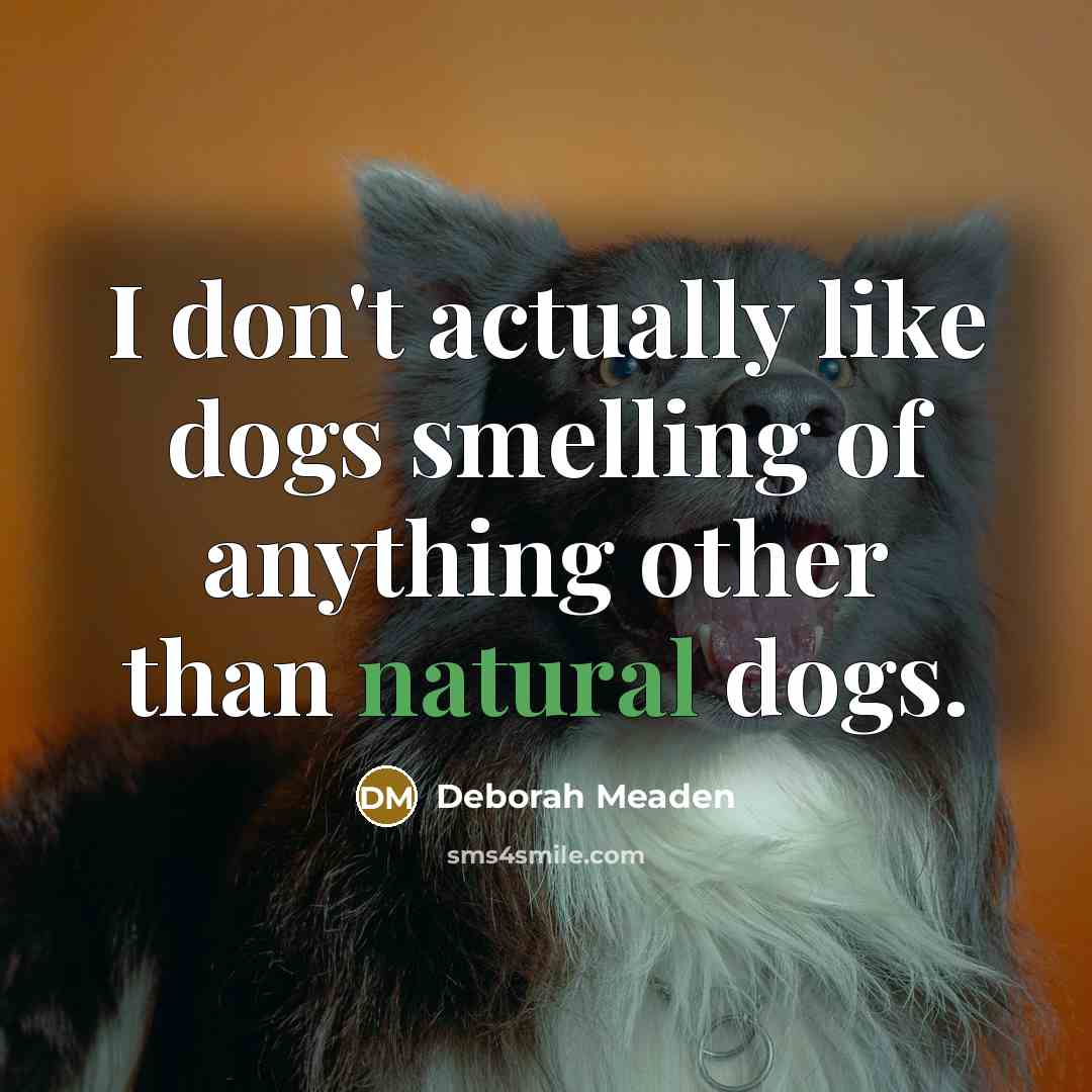 “I don't actually like dogs smelling of anything other than…” quote by Deborah Meaden