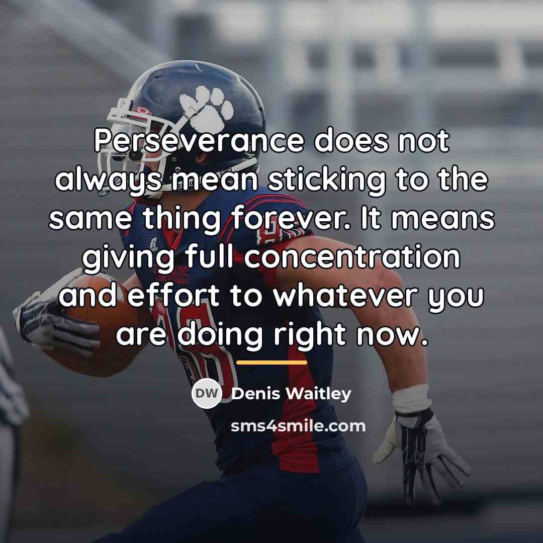 “Perseverance does not always mean sticking to the same thing…” quote by Denis Waitley