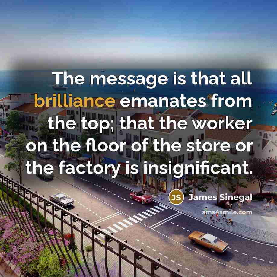 “The message is that all brilliance emanates from the top;…” quote by James Sinegal