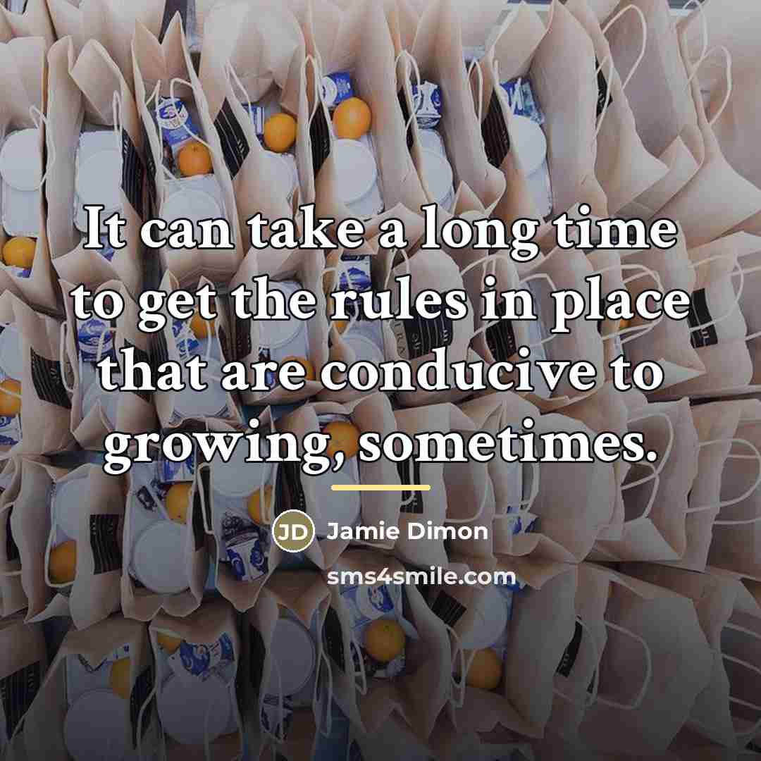 “It can take a long time to get the rules…” quote by Jamie Dimon