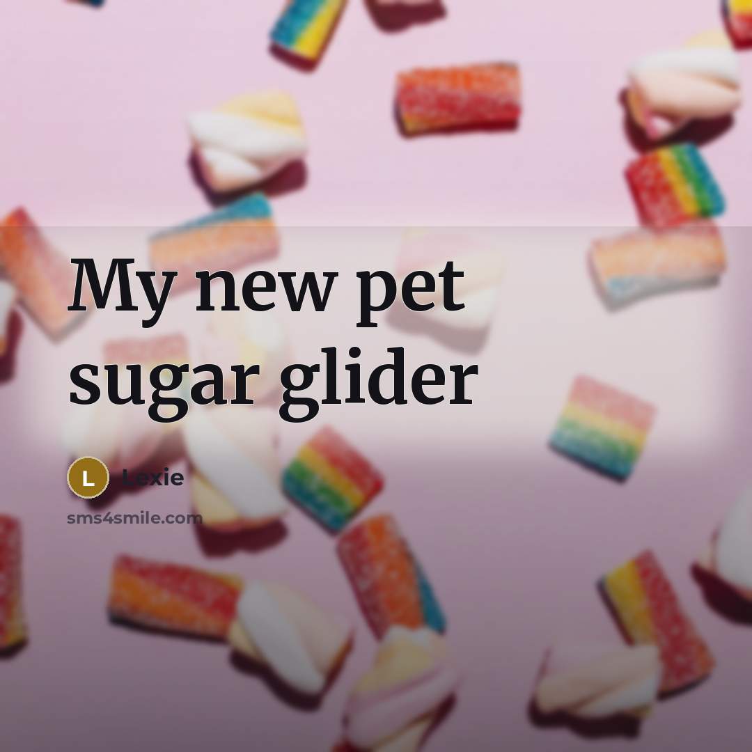 “My new pet sugar glider…” quote by Lexie