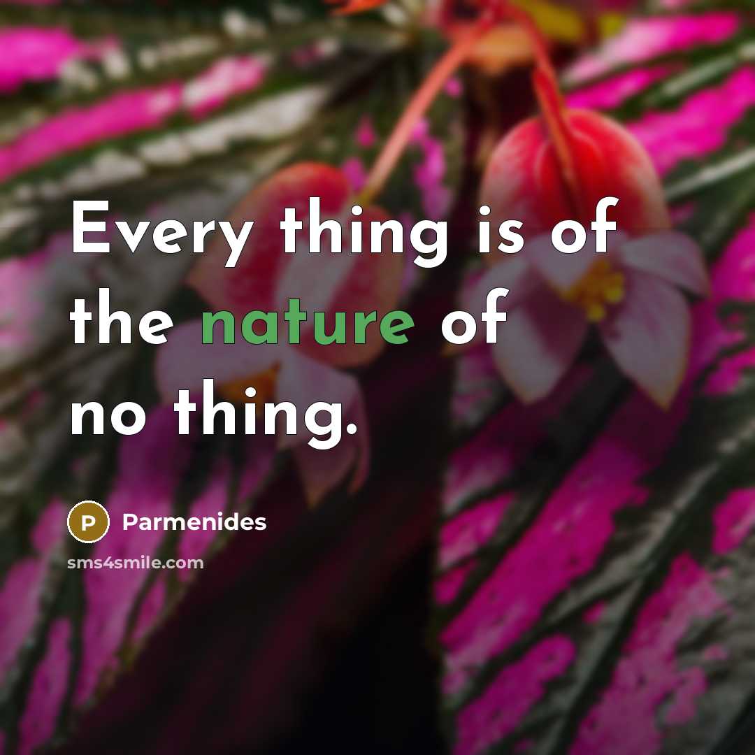 “Every thing is of the nature of no thing.…” quote by Parmenides