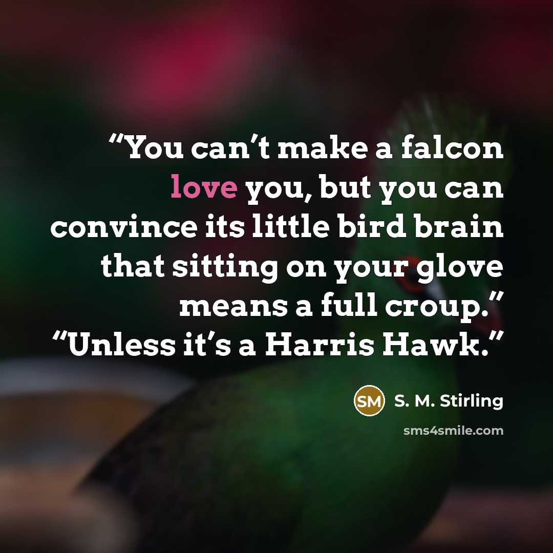 “You can’t make a falcon love you, but you can convince its little bird brain that sitting on your glove means a full croup.” “Unless it’s a Harris Hawk.” quote by S. M. Stirling