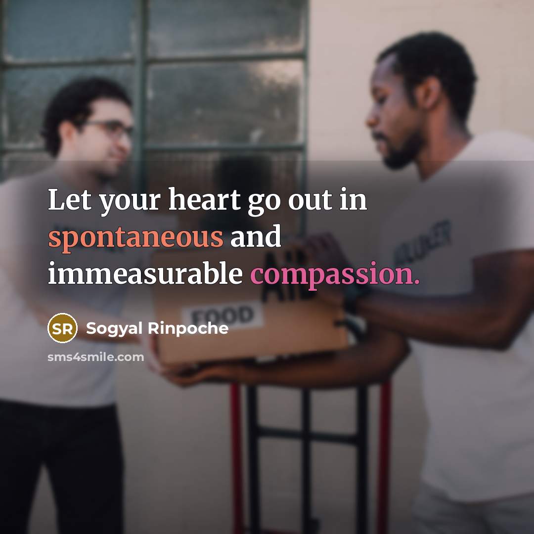“Let your heart go out in spontaneous and immeasurable compassion.…” quote by Sogyal Rinpoche