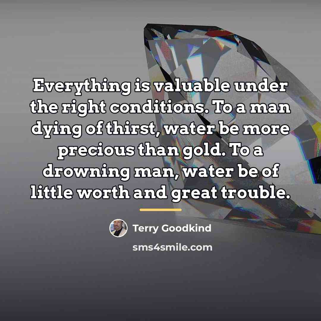 “Everything is valuable under the right conditions. To a man…” quote by Terry Goodkind