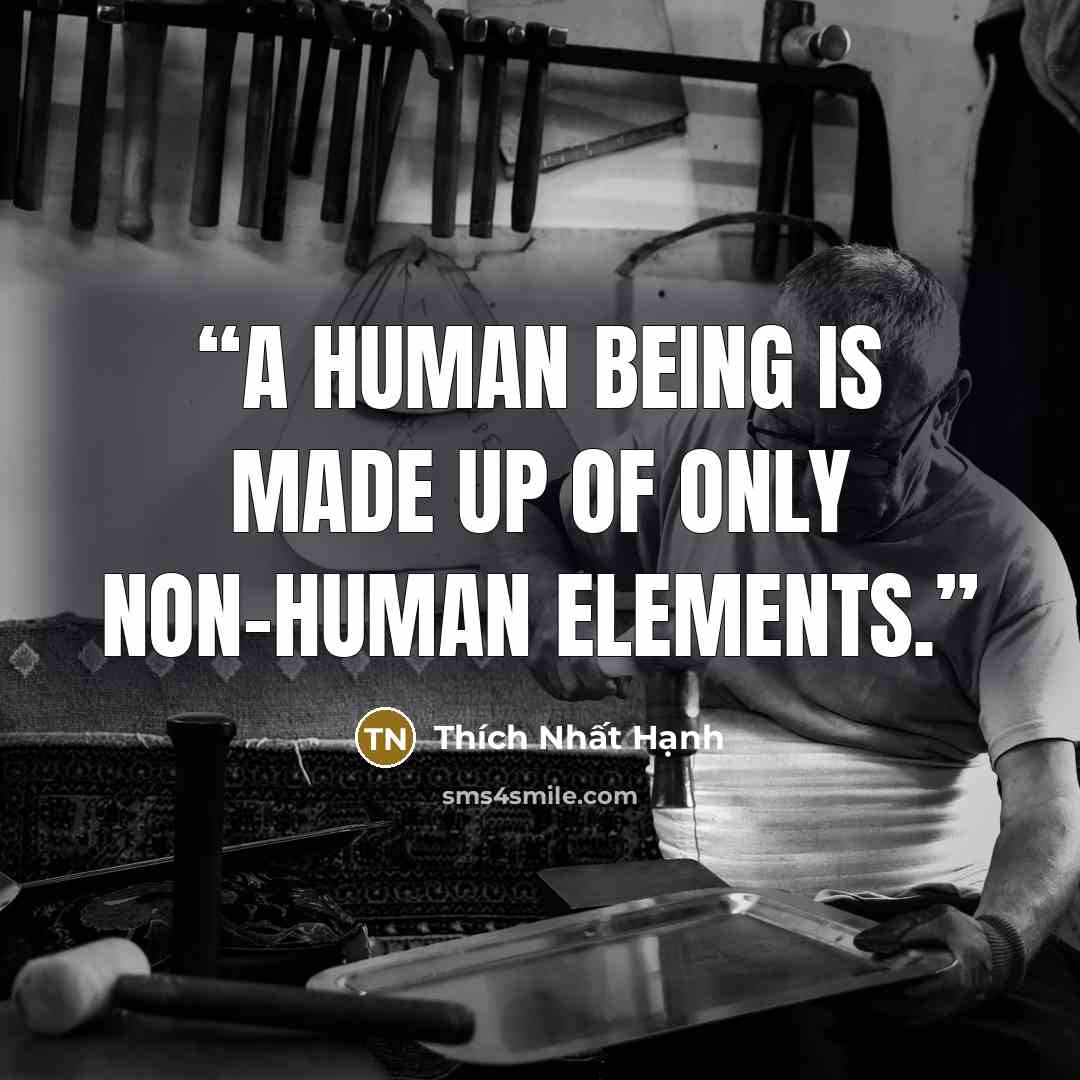 “A human being is made up of only non-human elements.” quote by Thich Nhat Hanh