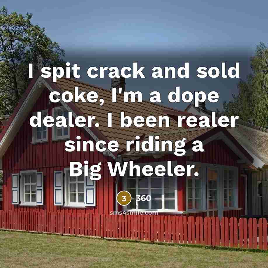 “I spit crack and sold coke, I'm a dope dealer. I been realer since riding a Big Wheeler.” quote by 360