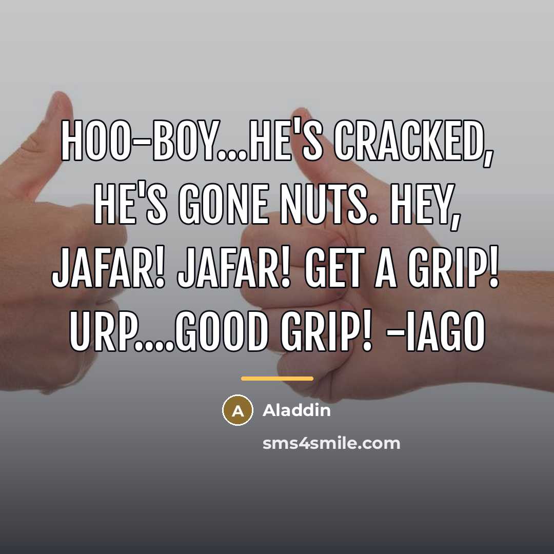 “Hoo-boy...he's cracked, he's gone nuts. Hey, Jafar! JAFAR! GET A…” quote by Aladdin