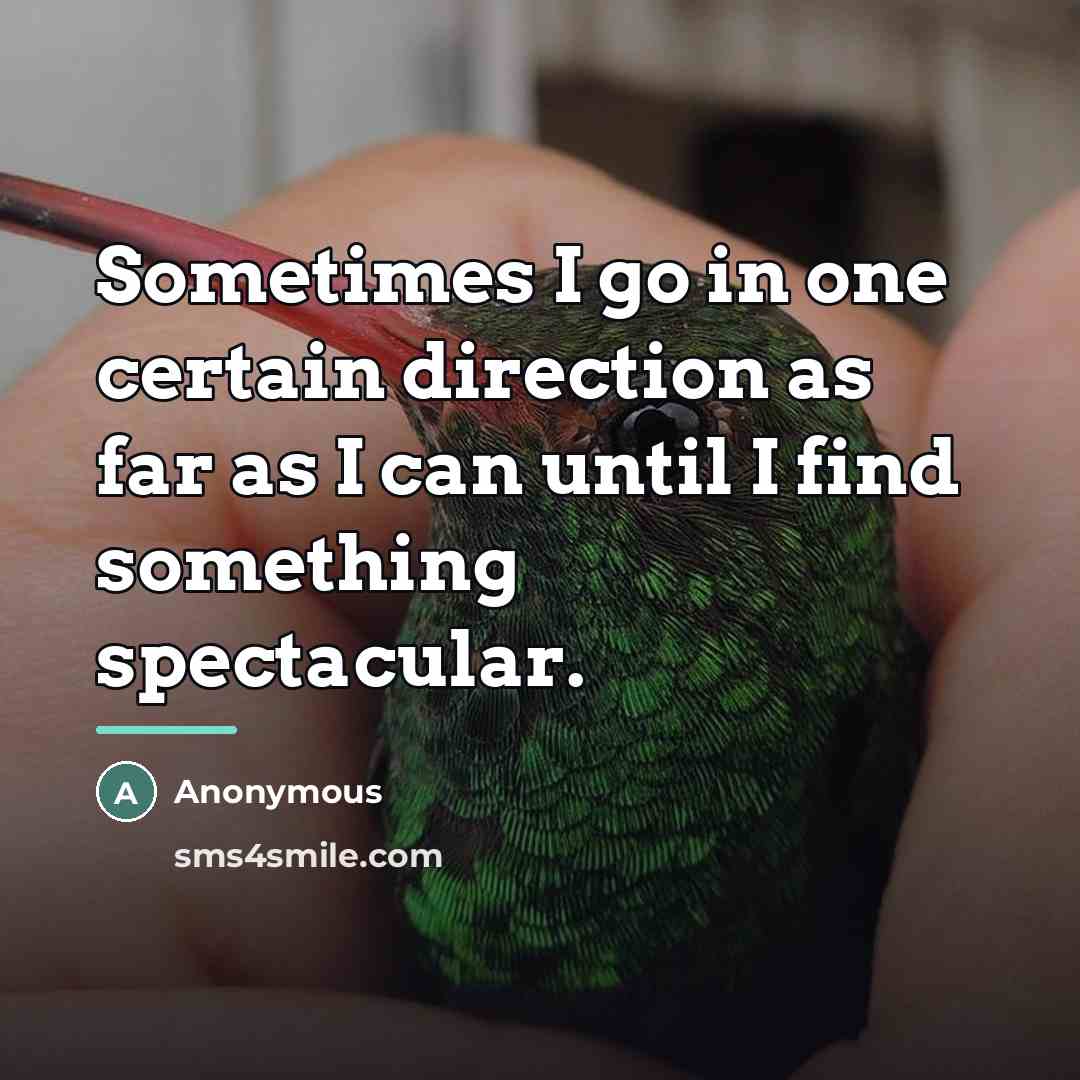 “Sometimes I go in one certain direction as far as…” quote by Anonymous