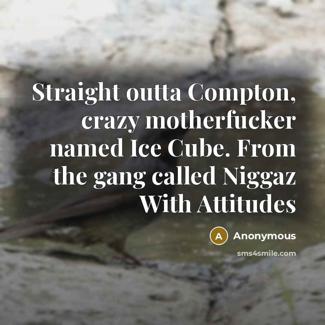 “Straight outta Compton, crazy motherfucker named Ice Cube. From the gang called Niggaz With Attitudes” quote by Anonymous