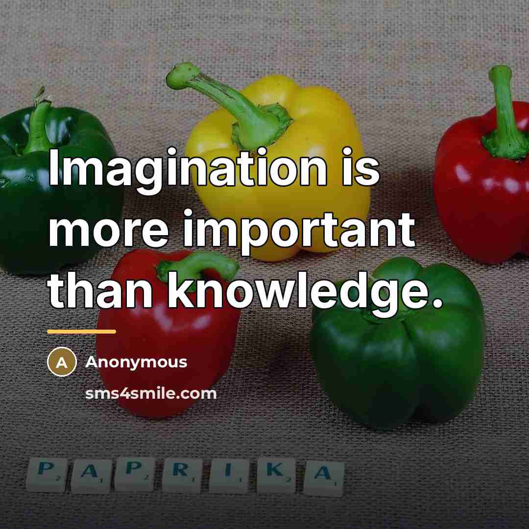 “Imagination is more important than knowledge.…” quote by Anonymous