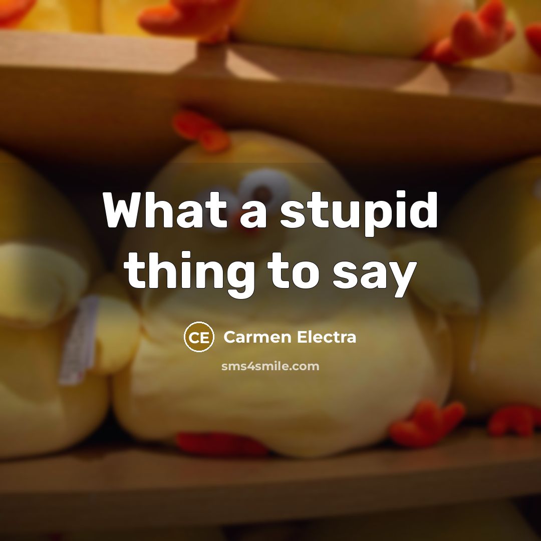 “What a stupid thing to say…” quote by Carmen Electra