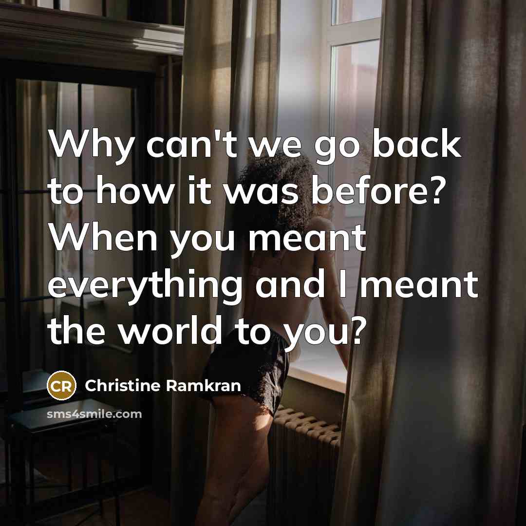 “Why can't we go back to how it was before? When you meant everything and I meant the world to you?” quote by Christine Ramkran