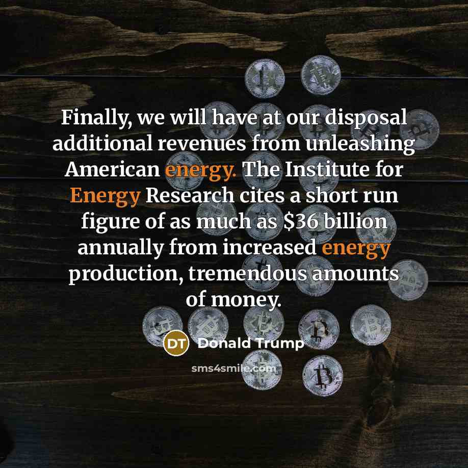 “Finally, we will have at our disposal additional revenues from…” quote by Donald Trump