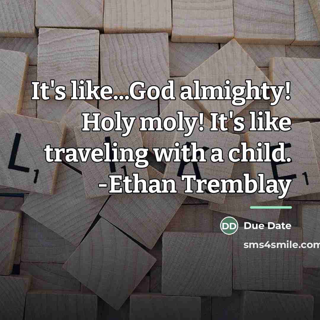 “It's like...God almighty! Holy moly! It's like traveling with a…” quote by Due Date
