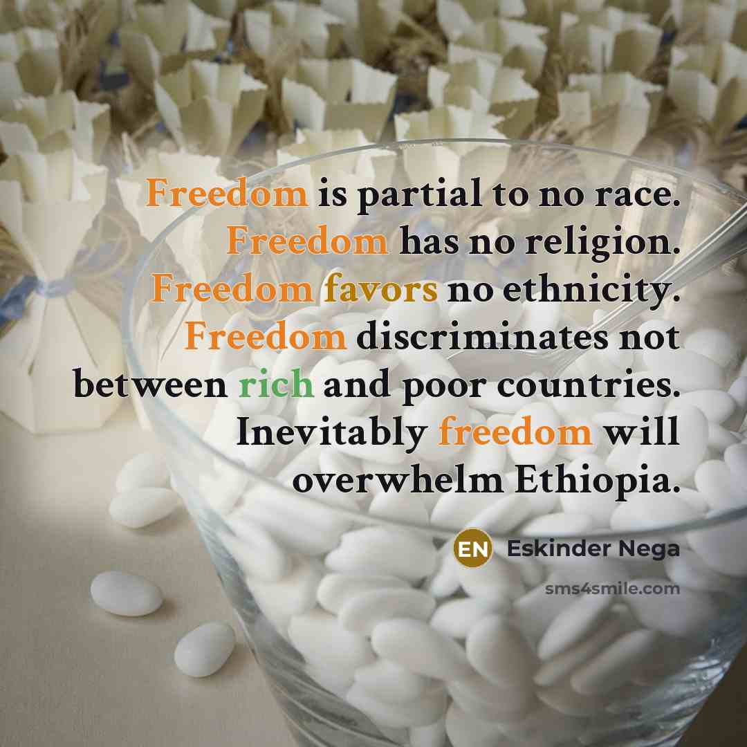 “Freedom is partial to no race. Freedom has no religion.…” quote by Eskinder Nega
